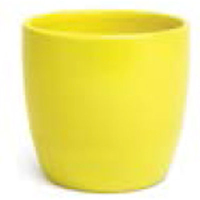 Lawrey Ceramic Pot Planter