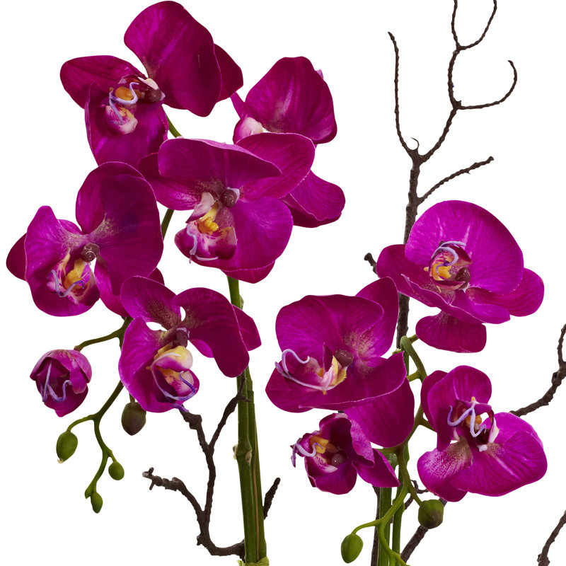 Arrangement in Planter