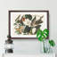 Black-Billed Cuckoo Birds by John James Audubon - Picture Frame Art Print-55512511-55512510