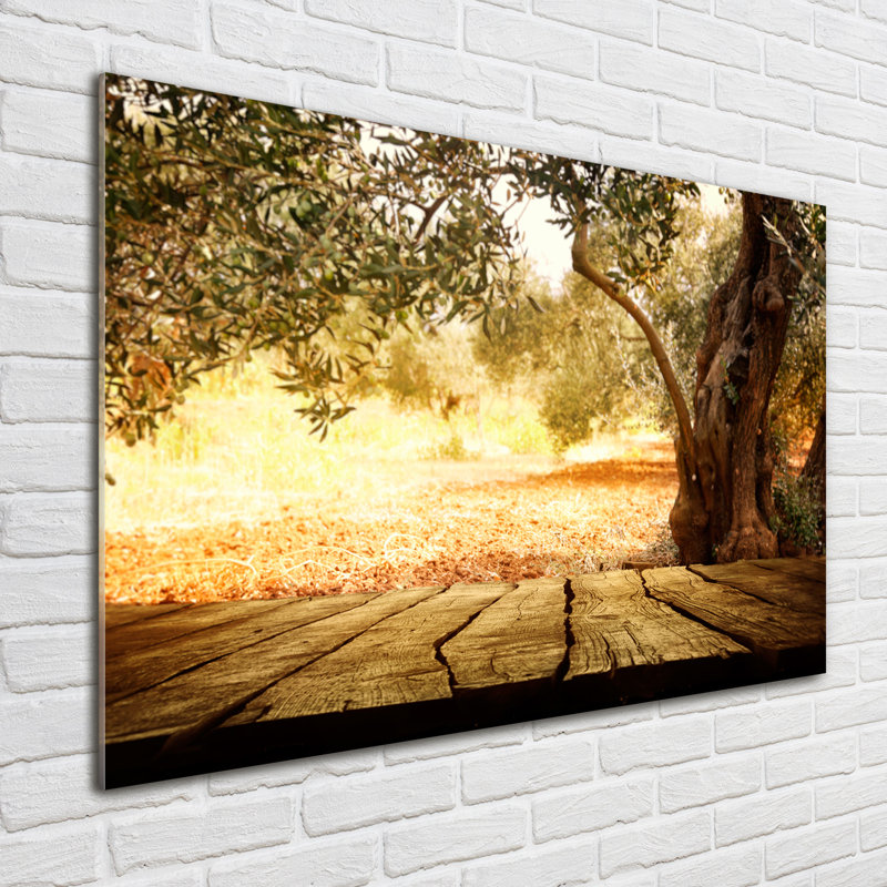 Olive Tree - Print, Glass, 70cm H x 100cm W x 4cm D
