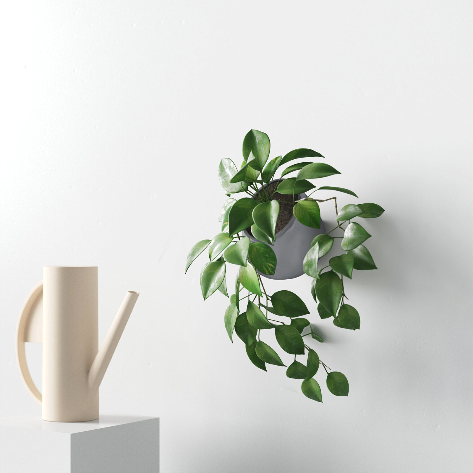 Hilaria Ceramic Wall Planter, 3.5'' H x 4'' W x 5" D, Matte Dark Gray