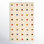 Xola Multi Hand-Tufted Geometric Wool Rug