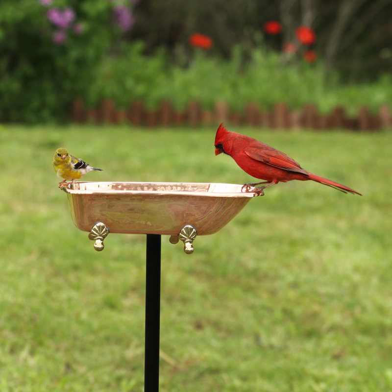 Bain d'oiseaux Brander, Cuivre