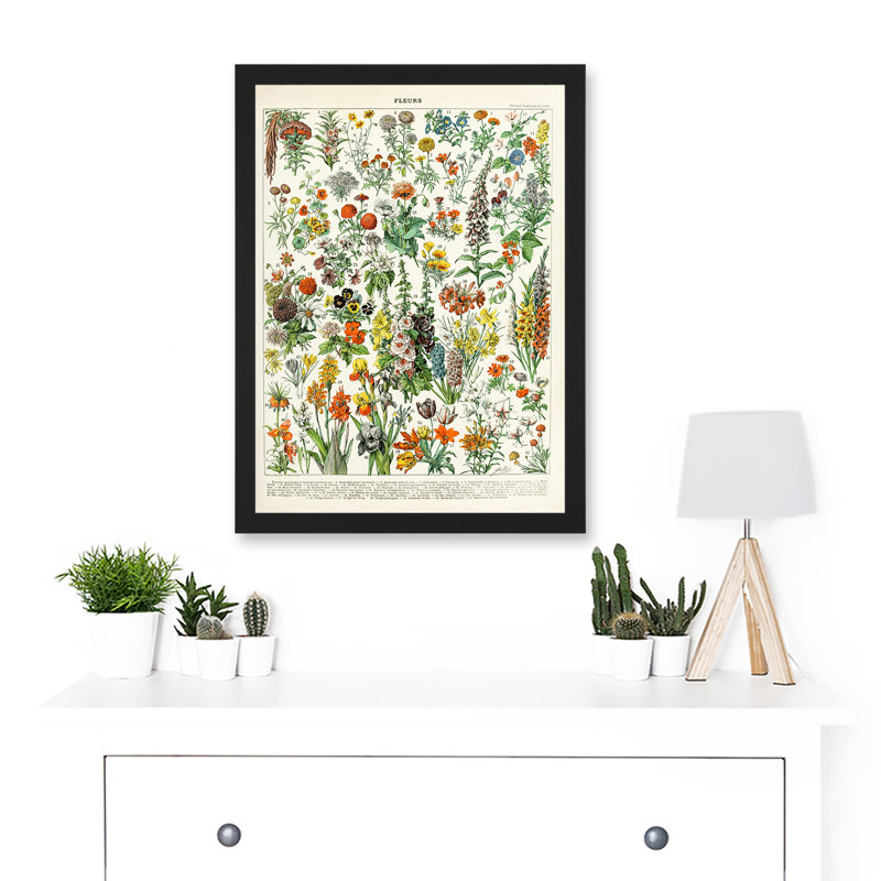 Flowers Plants Multicoloured Botanical - Single Picture Frame Art Prints