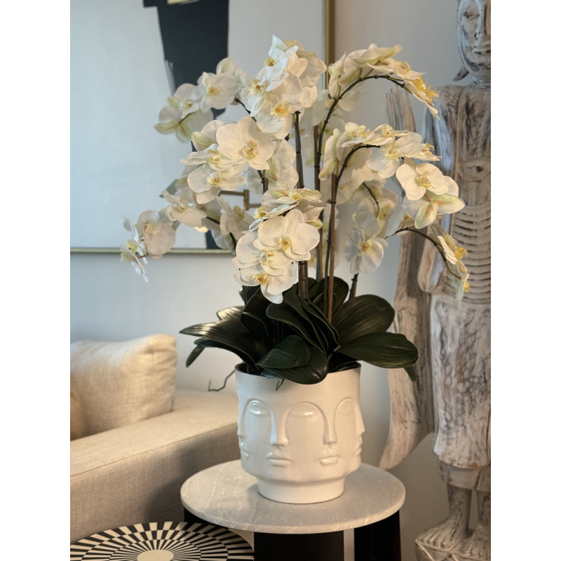 Matte Visage Vase With White Orchids