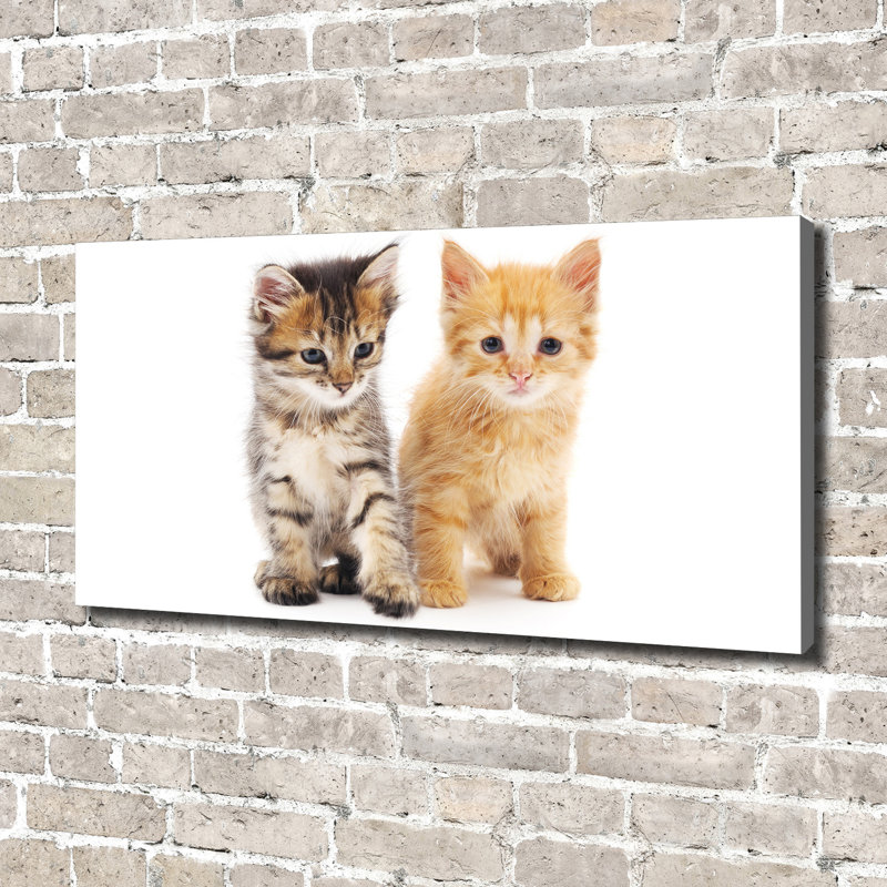 Brown And Red Cat - No Frame Print on Canvas