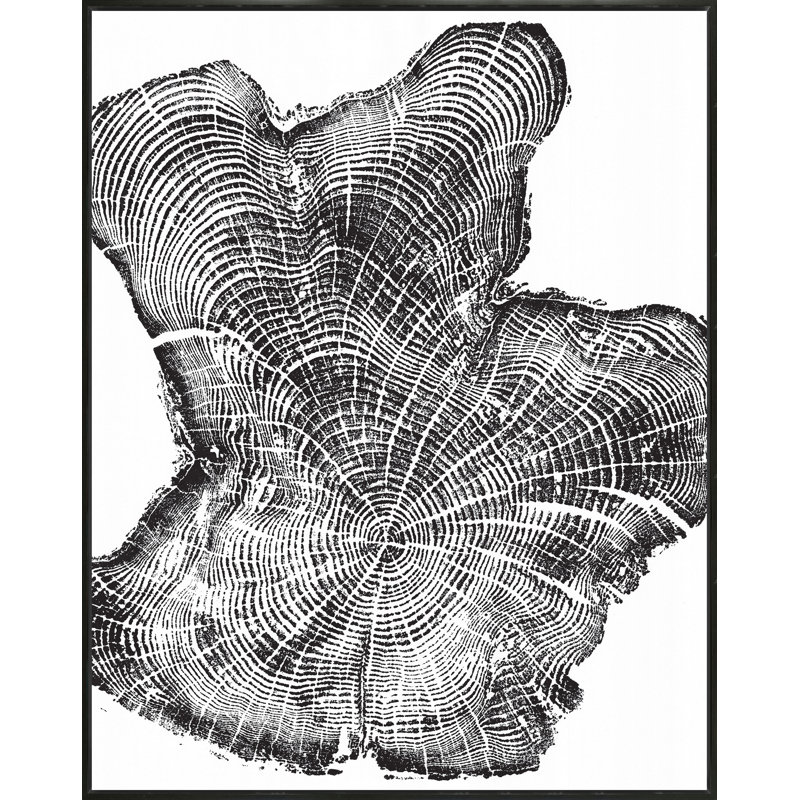 Tillamook Driftwood Print, 40" H x 36" W, Black Framed