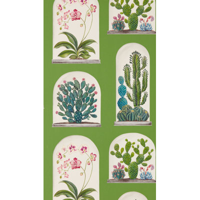 Terrariums 10.05m x 52cm Matte Wallpaper Roll