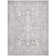 Calidia Oriental Light Gray Area Rug