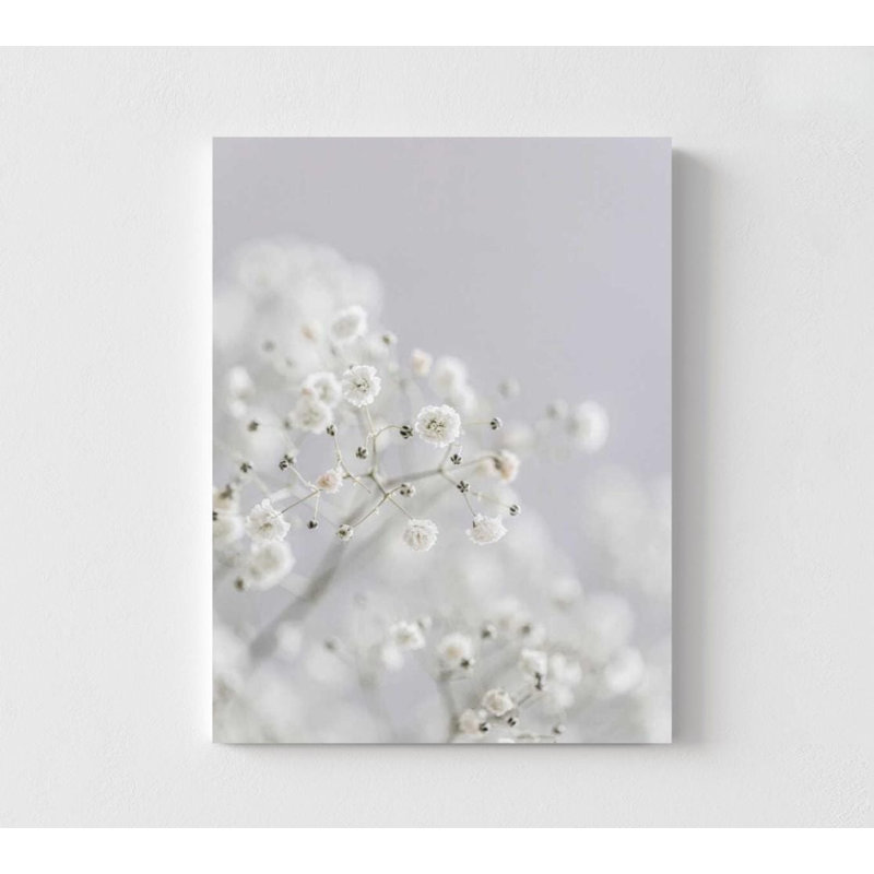 Art mural botanique: Fleurs blanches pour bébé - encadrées ou non, H 40 po x l 30 po, Impression sans cadre