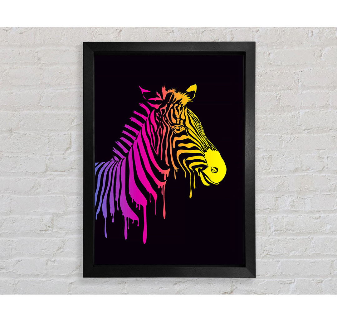 Zebra Regenbogen - Druck