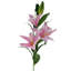 Pack of 6 x 100cm White Lily Stem-89222283