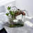 Succulent Design in Clear Tall-Oval Glass Vase with Epoxy | Unique Succulent Vase with Artificial Succulents