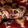 Tapis oriental rouge / beige Greisy