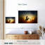 Sunburst Sirci-106818134