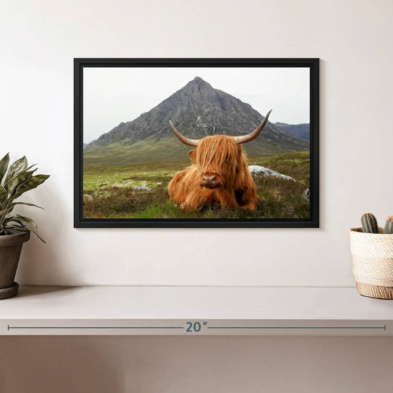 Highland Cow Serenity, Cadre flottant noir, 31 po x 21 po