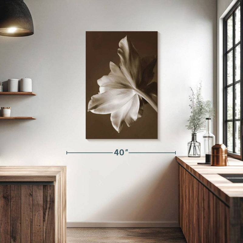 Tulipe Harnek Moonglow, H 39 po x l 26 po