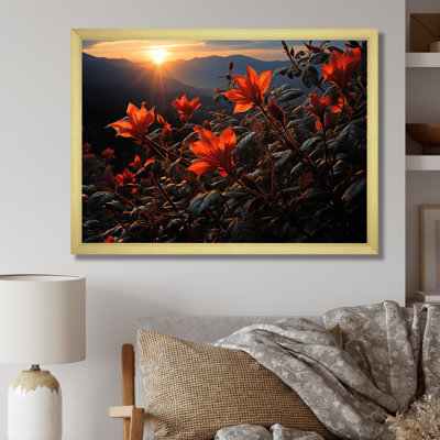 " Red Poinsettias Flowers On Sunset Horizon "