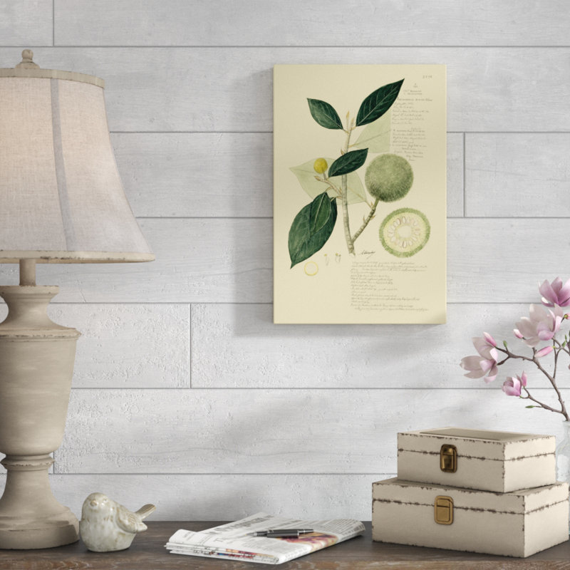 «Descubes Tropical Fruits I», peinture sur toile, H 18 po x l 12 po