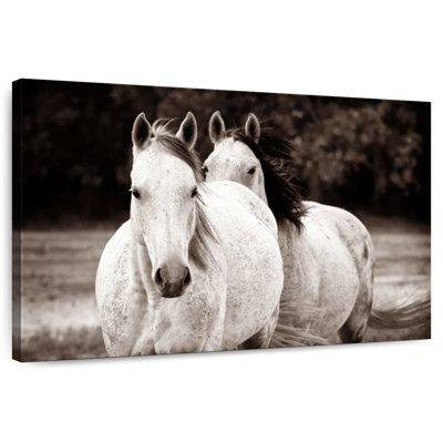 Brampt Two Wild Horse Sepia