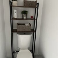 Appling 24.8 W x 64.2 H x 9.2 D Over-the-Toilet Storage Rebrilliant