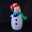 Elgin Christmas Decoration