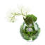 Arrangement orchidée et philodendron