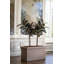 Jort Classic S, taupe