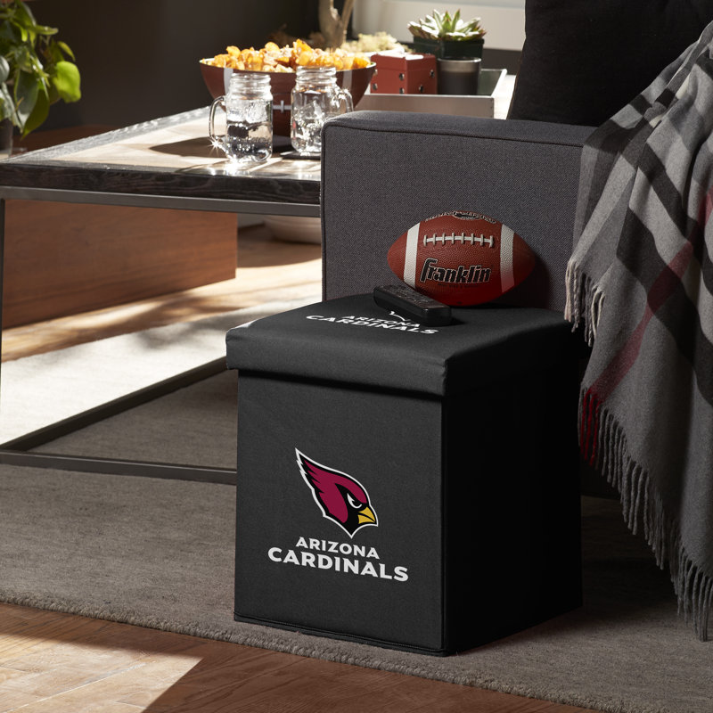 Boîte en filet NFL, Cardinals de l'Arizona