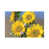 Canvas selected