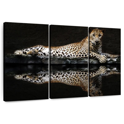 Brampt Leopard Reflection