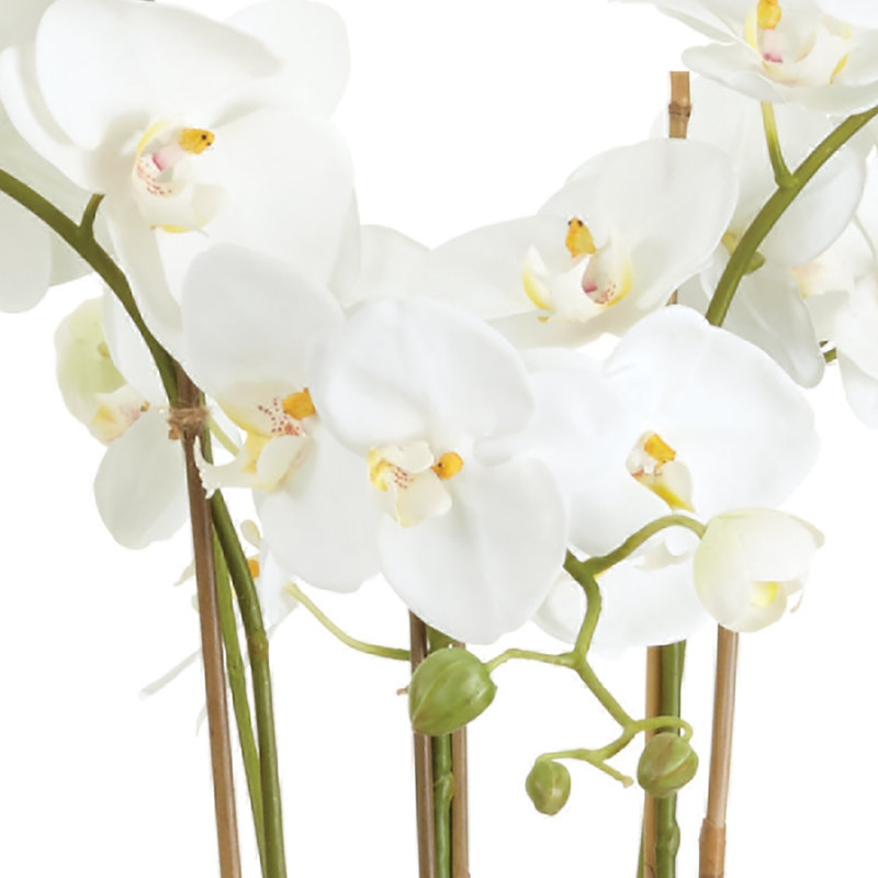 Orchidée Barclay Butera dans un pot en céramique