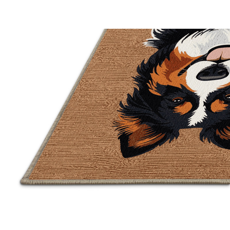  Tapis lavable pour bouvier bernois, Rectangulaire 8 pi x 12 pi