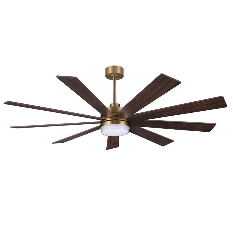 Babrak 65'' Ceiling Fan with LED Lights, Gold with Walnut Blades