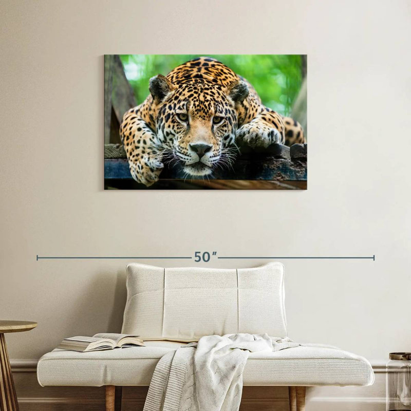 Crowle Lazy Leopard, 24" H x 36" W