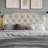 Raichelle Upholstered Headboard-1007214464-1007214588