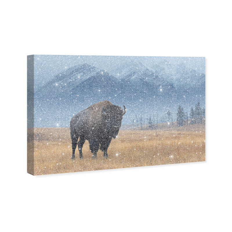 Mountain Bison I Print by Oliver Gal, 16" H x 24" W, Gallery Wrapped