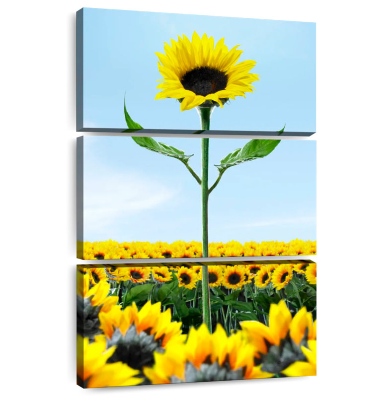 Tournesol Harnek au-dessus des tournesols, H 32 po x l 20 po