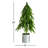 1.7' Pine Christmas Tree