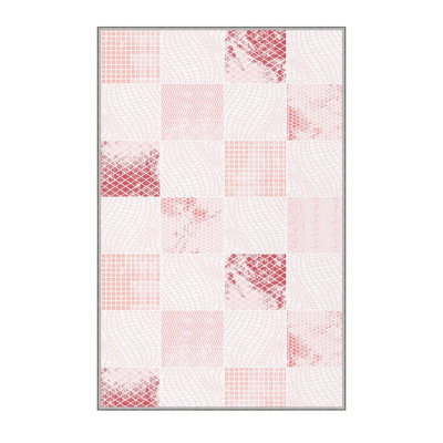 Stylish Hall Carpet (3.3 x 6.6 ft), 100% Polyester, 0.3 in Pile Height | Antibacterial, PVC Non-Slip Underside | 3D Digital Printing, Machine Washable | Perfect for Entryways & Living Spaces, Durable & Easy Care