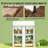 Portable Greenhouse,Spacious Mini Greenhouse
