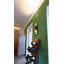 Apodis 2-Light LED Up & Downlight-33659724-33659726