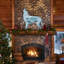 Figurine Tiburon Winter Wolves