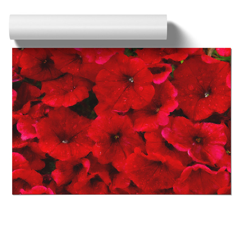 Seeing Red Flowers Painting - Frameless Print, 30cm H x 42cm W x 0.1cm D