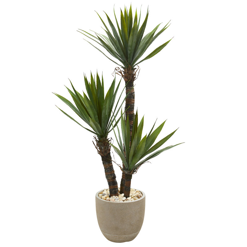 Faux Yucca Tree in Ceramic Planter, 56" H x 20" W x 20" D
