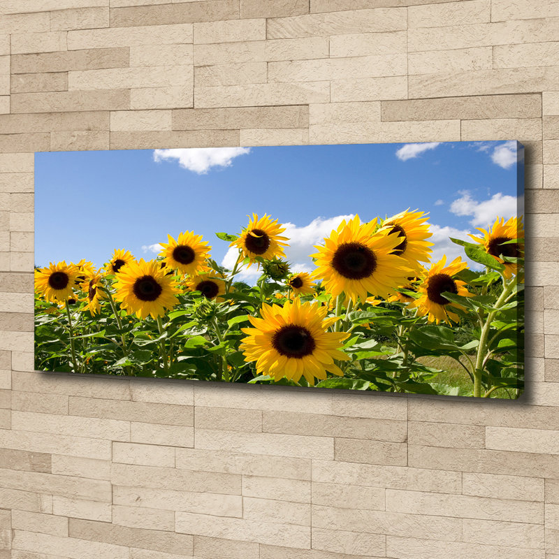 Sunflowers - Wrapped Canvas Print, 50cm H x 125cm W, Canvas