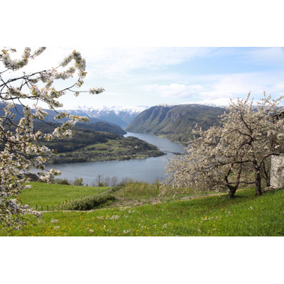 Blossom In Hardanger, Norway by LailaRberg - Wrapped Canvas Print
