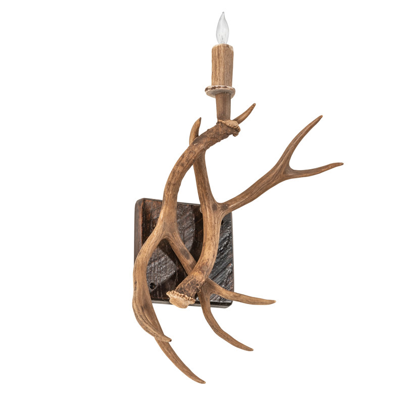 14" Wide Antlers Elk & Mule Deer Wall Sconce