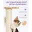 Plateau tournant pour chat 4Pets
