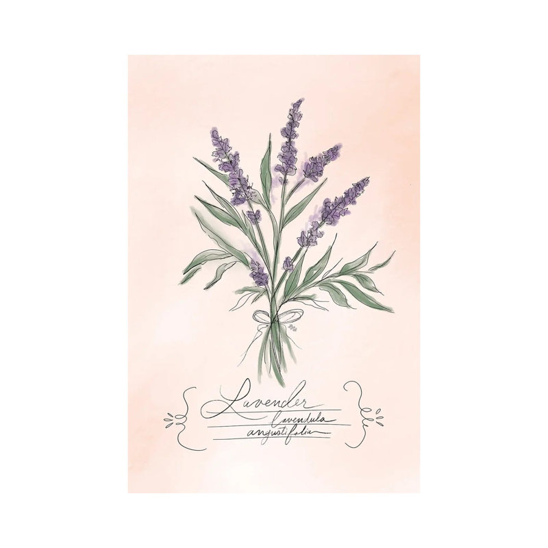 Lavender 1 Piece Wall Art on Canvas, 20.32 cm H x 30.48 cm W, Wrapped Canvas
